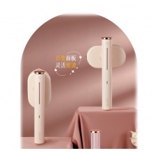 小画仙蒸汽电熨斗LDYD-1001